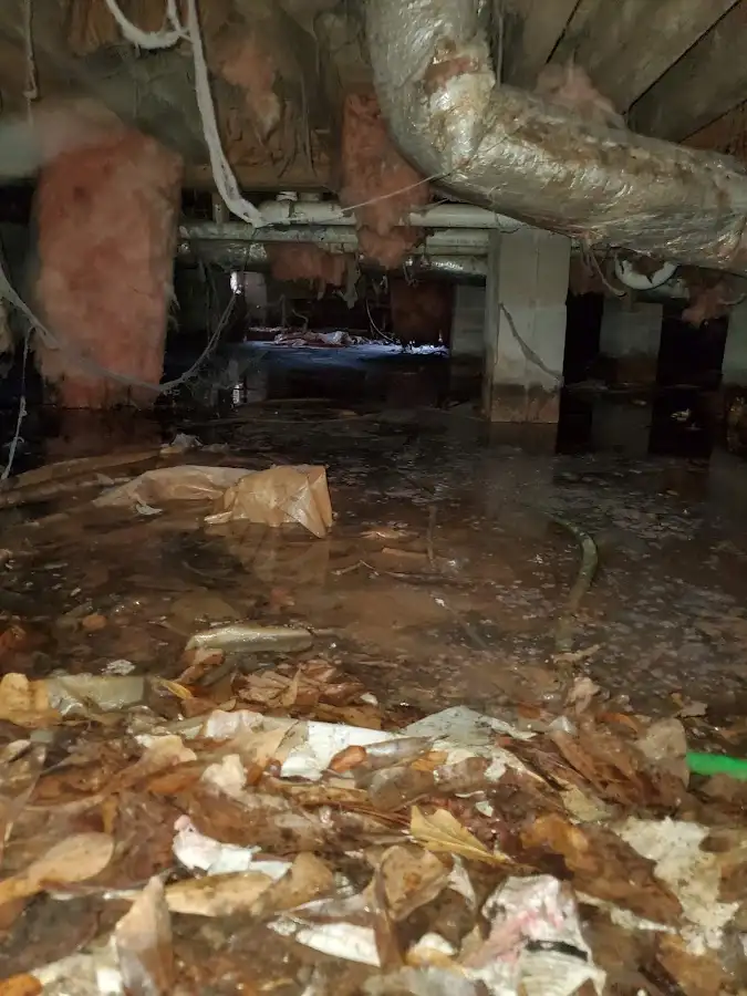 Crawl space flood assessment for Commercial Water Damage Restoration in Forest Acres