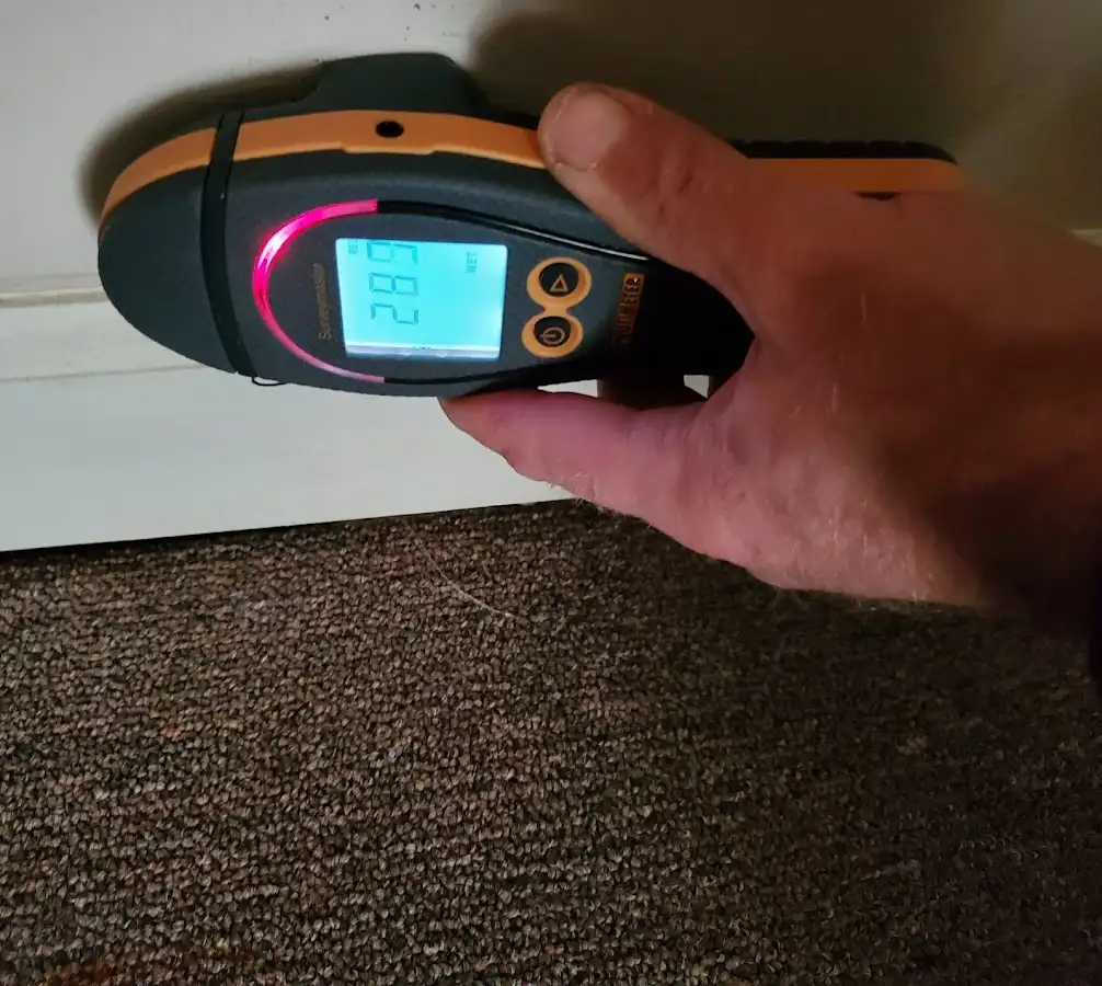 Moisture detection at baseboard during Mold Inspection & Testing in Forest Acres